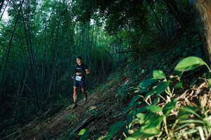 BIB: 
                            <button type="button" onclick="openModal(28123642)" class="btn btn-primary btn-sm float-right btn-popup" data-toggle="modal" data-target=".modal-high-quality">
                        <i class="fas fa-shopping-cart"></i> Add to Cart
                    </button>
                                            <button type="button" onclick="isThisMe(28123642, true)" class="btn btn-success btn-sm float-right btn-popup btn-isme hidden" data-toggle="tooltip" data-placement="bottom" title="นี่คือรูปของคุณใช่ไหม คลิกที่นี่เพื่อเอาเข้าอัลบั้ม">
                        <i class="fas fa-plus"></i> Add to album
                    </button>
                    <button type="button" onclick="isThisMe(28123642, false)" class="btn btn-warning btn-sm float-right btn-popup btn-isnotme hidden">
                        <i class="fas fa-ban"></i> Remove from album
                    </button>